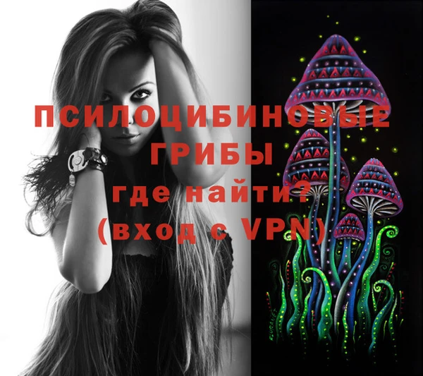 спайс Беломорск