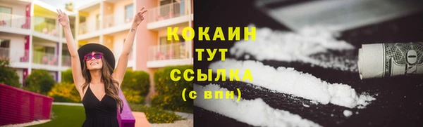 гидра Баксан