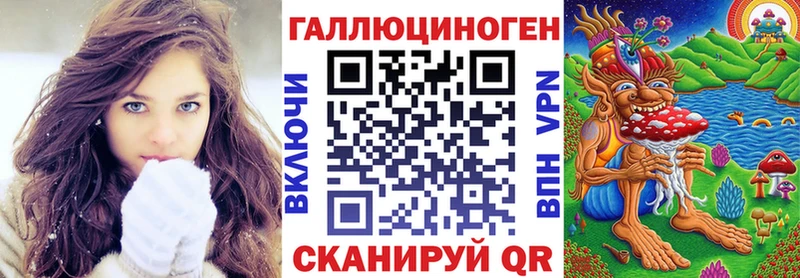 купить наркоту  Кодинск  Псилоцибиновые грибы Psilocybe 